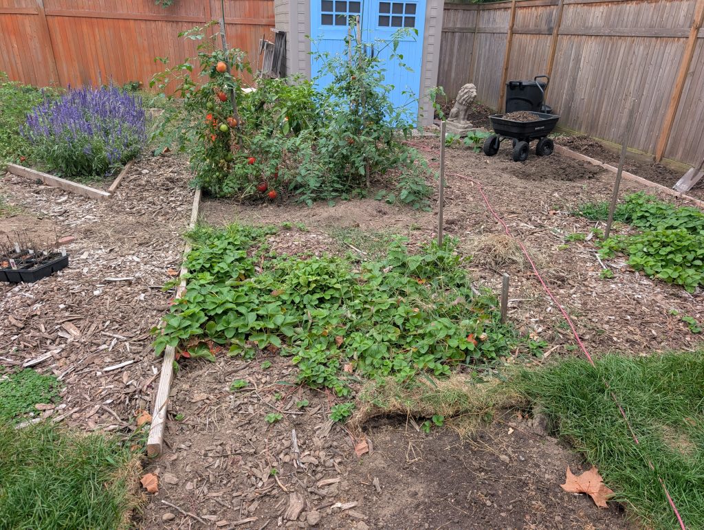 A view of the vegetable garden. A little too unstructured for my taste. I hope to correct this for next year.